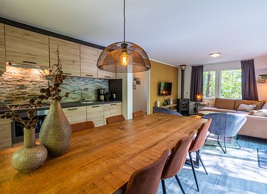 Chalet confortable dans les forêts de Drenthe - 7