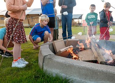 Glamping at Dairy Cattle & Calves Farm - 13