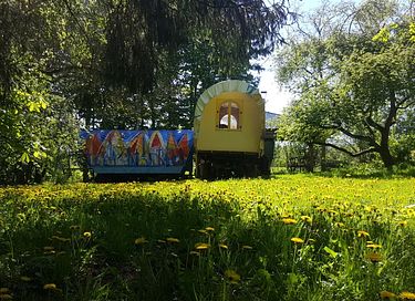 Planwagencamp / Hund / Außenküche / Glamping