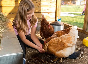 Glamping à la ferme des Alpagas - 22