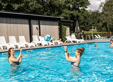 Dog-friendly wellness lodge in the Veluwe region - 19