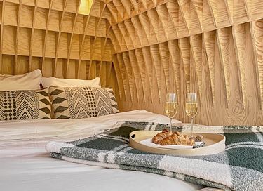 Unique cabane dans les arbes avec sauna privé dans les Ardennes - 16