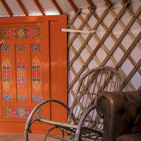 Spacious yurt in unique park in nature - 5