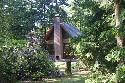Mooi gelegen natuurhuisje voor 6 personen - 2