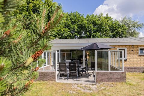 Ruime gezinsbungalow op Ameland, hond welkom - 2