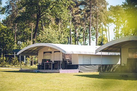 Luxe kamperen aan de rand van de Veluwe - 3