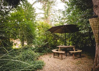 A-frame cottage (4p) in Belgian Limburg - 3