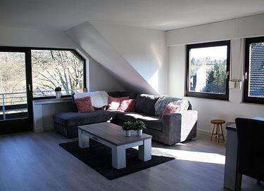 Appartement familial spacieux dans la forêt du Sauerland - 6