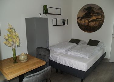 Cozy studio in green surroundings - 9