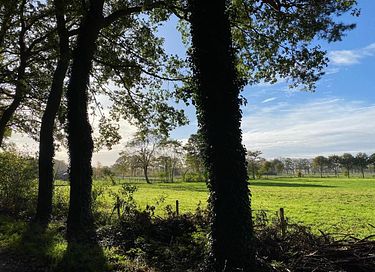 Mooi gelegen boshuis in Gelderland - 31