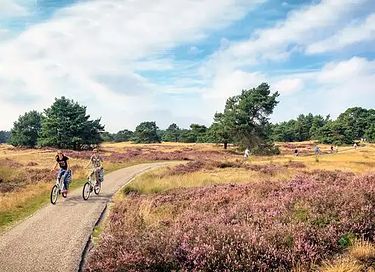 Vakantie midden op de Veluwe (4p) - 25