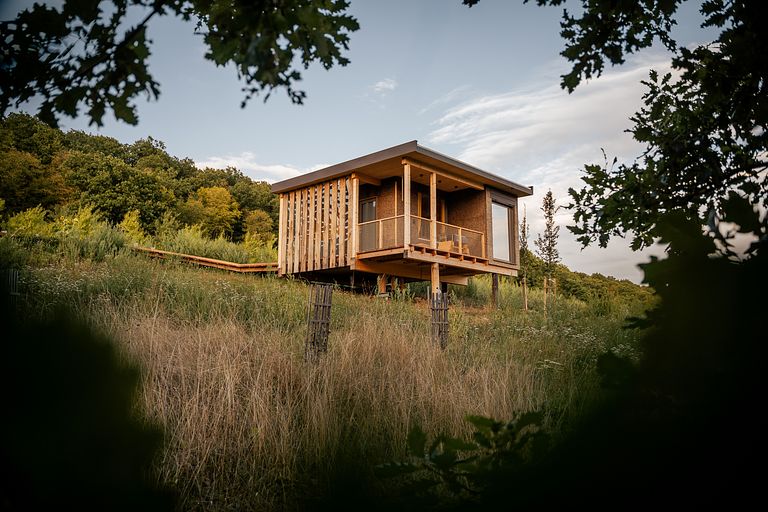 Nature Cabin for Those Seeking Peace and Quiet - 1