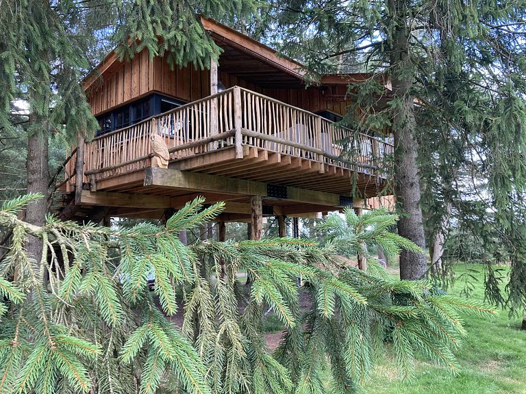 Tree Villa for 4 persons in Drenthe - 1