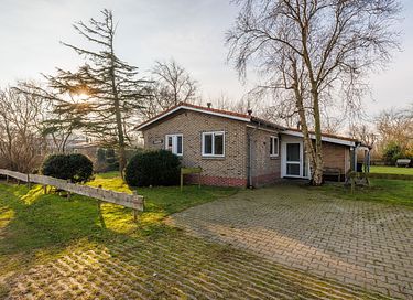 Gîte naturel pour animaux de compagnie à Ameland - 22