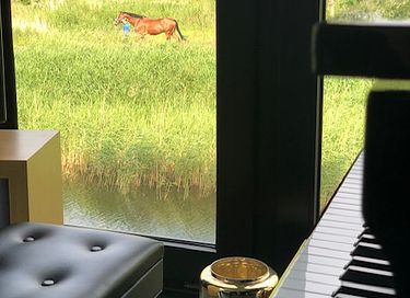 Wellness villa near the Frisian lakes - 22