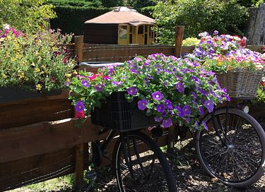 Romantische Yurt met hottub - 30