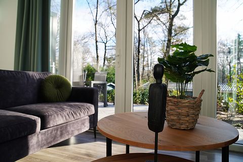 Holiday home in the woods of the Veluwe - 4