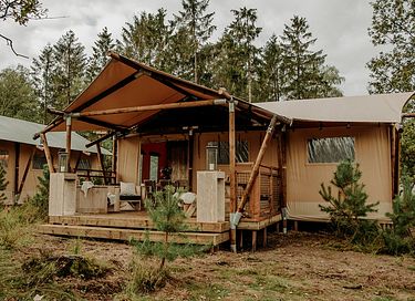 Safari lodge op unieke plek in Nederland - 1