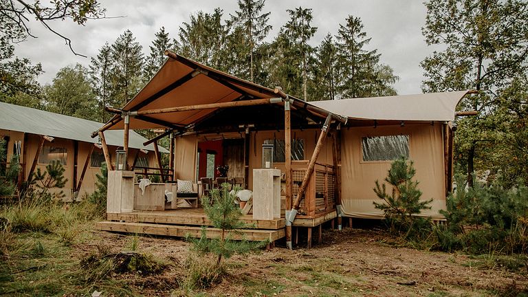 Safari lodge op unieke plek in Nederland - 1