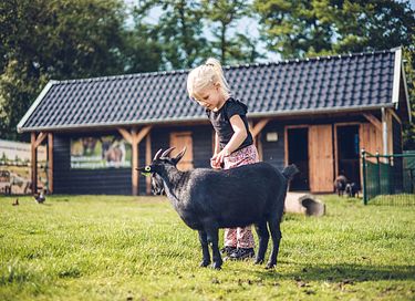 Luxe glamping op de Veluwe - 45