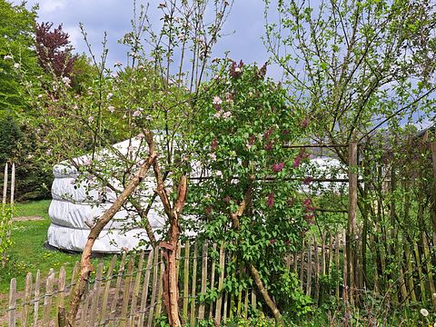 Belle yourte sur un mini camping confortable - 3
