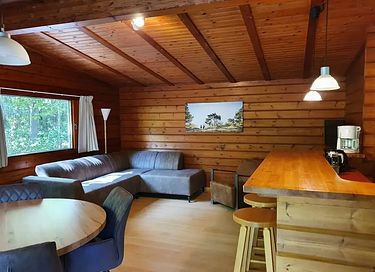 Gemütliches Ferienhaus in der Landschaft von Drenthe - 7