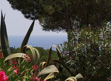 Gästehaus mit Meerblick, Küste von Barcelona - 32