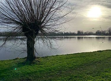 Moderne houseboot aan het Sneekermeer - 13