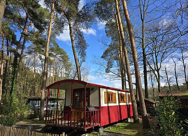 Cute shepherds hut with private hot tub in nature - 3