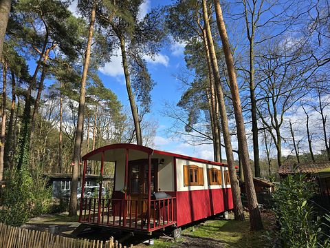Cute shepherds hut with private hot tub in nature - 3