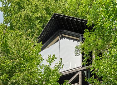 Luxueuze boomhut in de Ardennen - 21