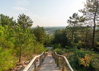 Gemütliches Glampingzelt für 2 - 23