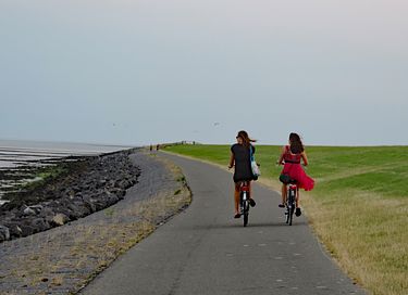 Cozy hotel close to the sea on Terschelling - 17
