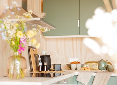 Logement de vacances spacieux sur la côte néerlandaise - 9