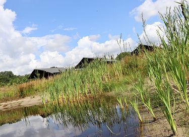 Safari tent on quiet location in Brabant - 19