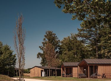 Nature lodge (6p) in Germany with own sauna - 20