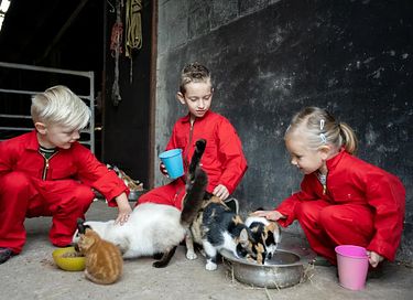Glamping op veehouderij en akkerbouwboerderij - 7