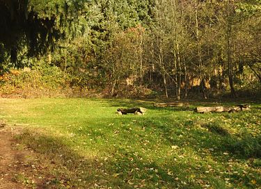 Villa de groupe avec grand jardin et vue - 21