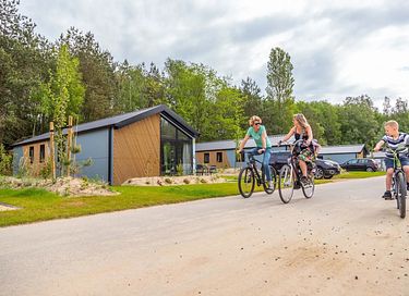 Vrijstaand chalet in Limburg voor 4 personen - 11