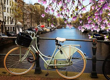 Stylish stay in the heart of Amsterdam - 28