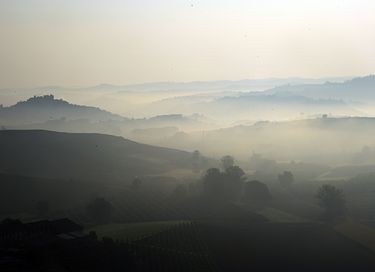 Logement de vacances au milieu des vignobles - 44
