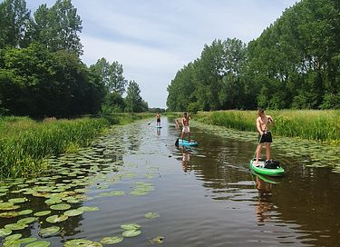 Tiny house on the water near Leeuwarden - 33