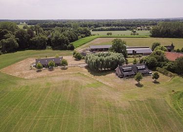 Luxuriöse Entspannung auf der Wiese - 16