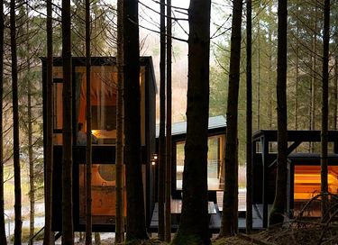 Special overnight stay among the trees - 14