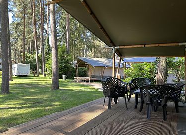 6-person glamping tent in the forest in Belgium - 2