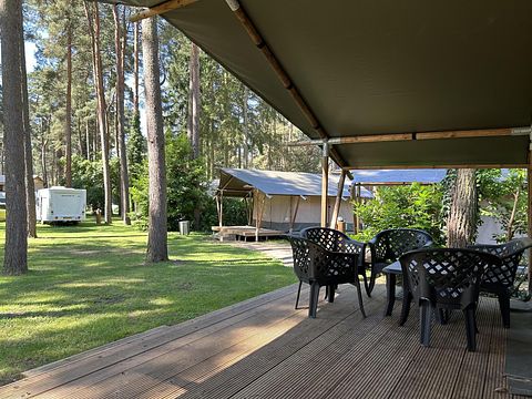 6-person glamping tent in the forest in Belgium - 2
