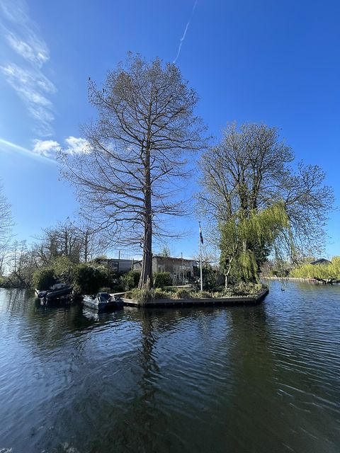 Schöne Hütte am Wasser in Rotterdam - 2