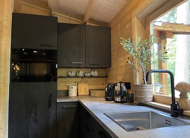 Tough luxury Scandinavian forest lodge on Veluwe - 11