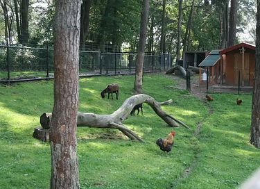 Vakantiehuis (6p) in de Limburgse heuvels - 18