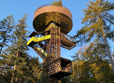 Cabane en rondins robuste avec sauna dans la forêt - 46